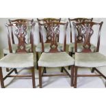 A set of six Chippendale style mahogany dining chairs with carved and pierced splats and overstuffed