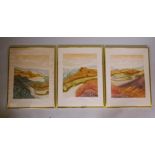 Robert Barnes, triptych, Hillside 1, 2 and 3, 33/100 aquatints, signed, No 1 badly foxed, 25" x 19"