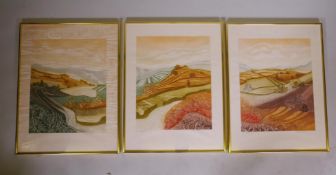 Robert Barnes, triptych, Hillside 1, 2 and 3, 33/100 aquatints, signed, No 1 badly foxed, 25" x 19"