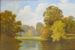 David Mead, F.C.I.A.D, The Lake, Arundel Park, signed, oil on board, 30" x 20"