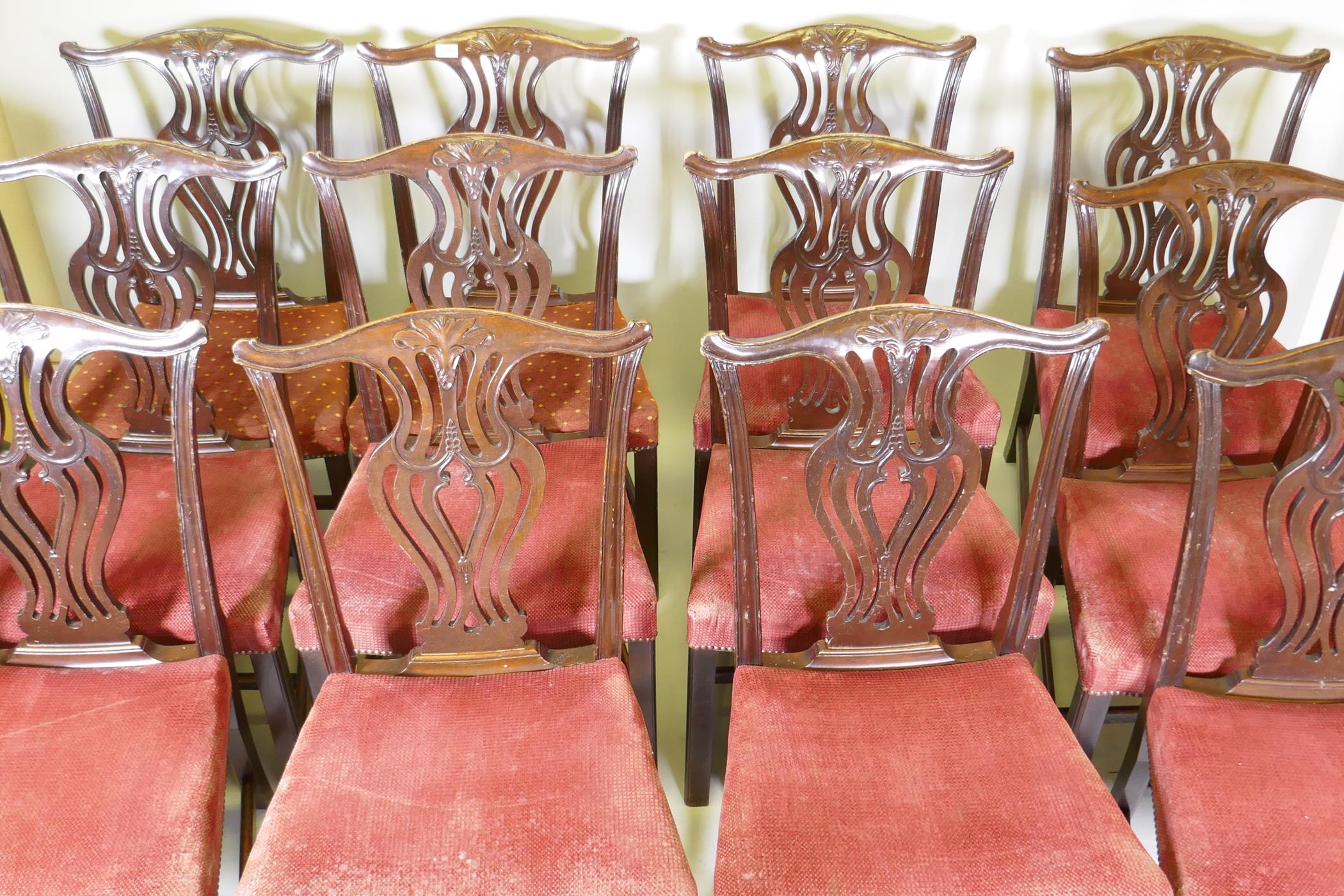 A set of twelve Chippendale style mahogany dining chairs with pierced and carved splat backs over - Image 2 of 4
