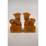 A pair of Chinese ochre glazed porcelain temple lions, 6 character mark to side, 8" high