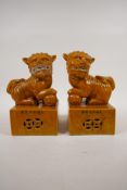 A pair of Chinese ochre glazed porcelain temple lions, 6 character mark to side, 8" high