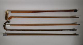 Five walking sticks of varying lengths, two with hallmarked silver mounts and another with a white