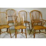 Six Windsor hoop back chairs with elm saddle seats and crinoline stretchers (4+2)