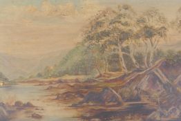 A highland river landscape, C19th oil on canvas, 12" x 7½"