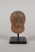 An ancient carved stone head bust on a display stand, probably Greek, 2½" high