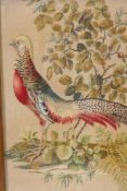 A good tapestry of a pheasant in a landscape, mounted in an oak firescreen, 36" x 24"
