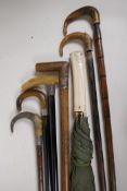 Four horn handled walking sticks with silver ferrules, longest 36", and two others and a carved bone