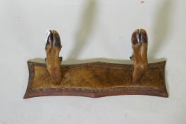 A Victorian deer hoof coat rack, 19" long