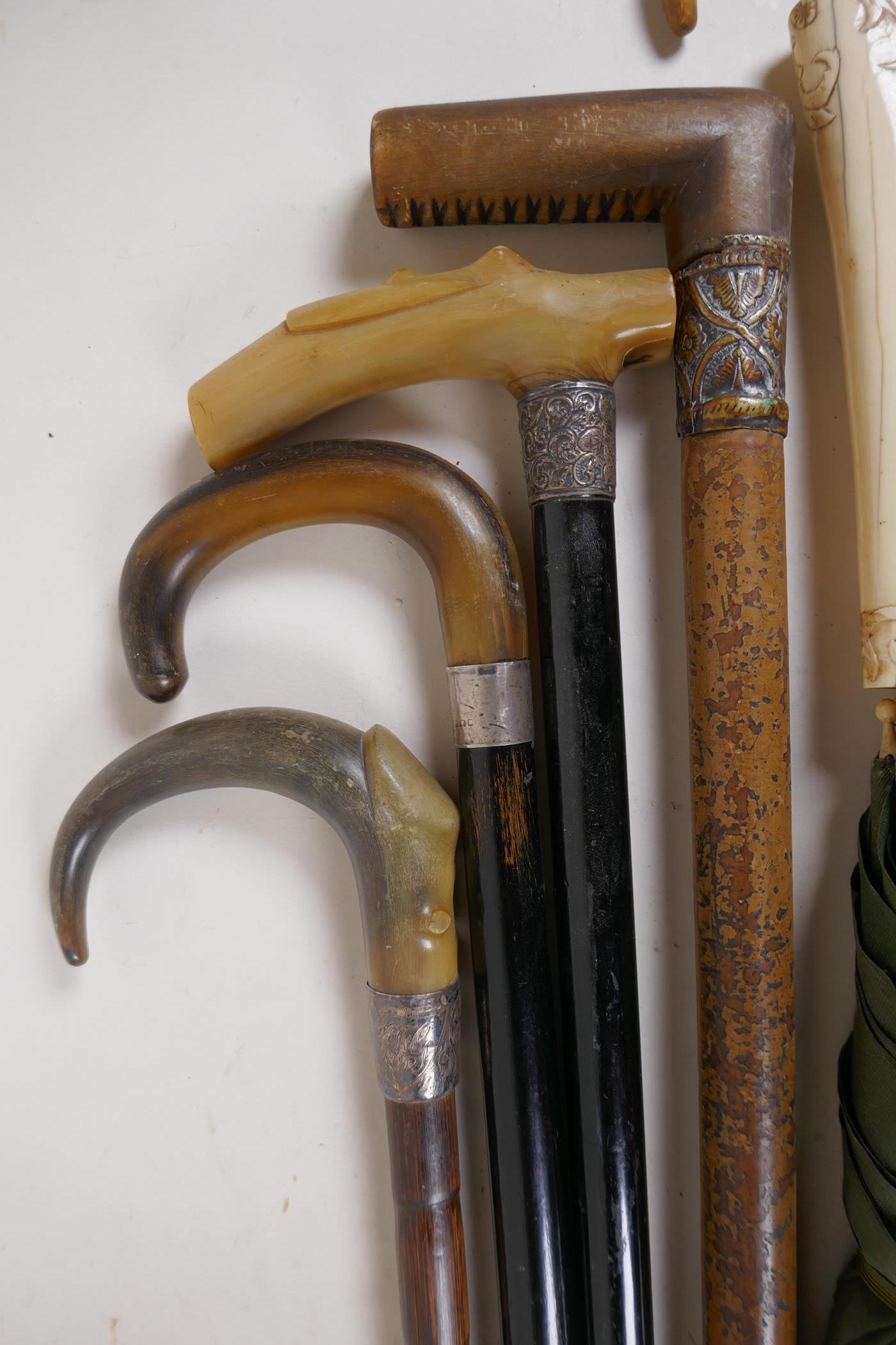 Four horn handled walking sticks with silver ferrules, longest 36", and two others and a carved bone - Image 2 of 4