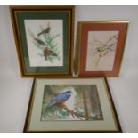 Three watercolours of various birds, Brian Cutler,  sparrowhawk, H. Jones, three finches, and