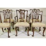 A set of six (4+2) Irish mahogany Chippendale style dining chairs, with carved and pierced backs and