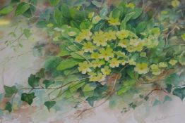 Josephine Hudson, yellow primroses, watercolour, 20" x 13"