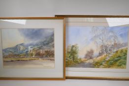 Douglas Baldwin, two scenes from Boxhill, signed, watercolours, 20" x 14"