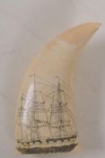 A C19th whale tooth scrimshaw engraved with a three masted ship, 5" long