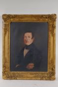 C19th English School, portrait of a gentleman, in a period gilt frame, oil on vellum, 14" x 11"