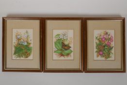 Denise Holloway, 1983, three miniature watercolours of butterflies and flowers, initialled, labels