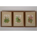 Denise Holloway, 1983, three miniature watercolours of butterflies and flowers, initialled, labels