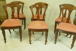 A set of six Victorian Grecian style mahogany dining chairs, with pierced splat backs, raised on
