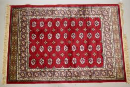 A rich red ground Kashmir rug with a Bokhara design, 47" x 69"