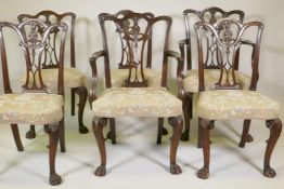 A set of six (4+2) Irish mahogany Chippendale style dining chairs, with carved and pierced backs and