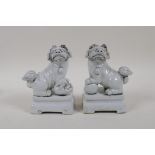 A pair of Chinese blanc de chine porcelain male and female temple lions, 5" high