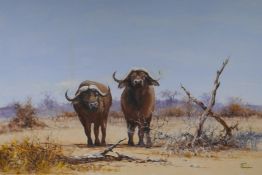 Flanagan, two African water buffalo in an arid landscape, oil on board, 29½" x 19½"
