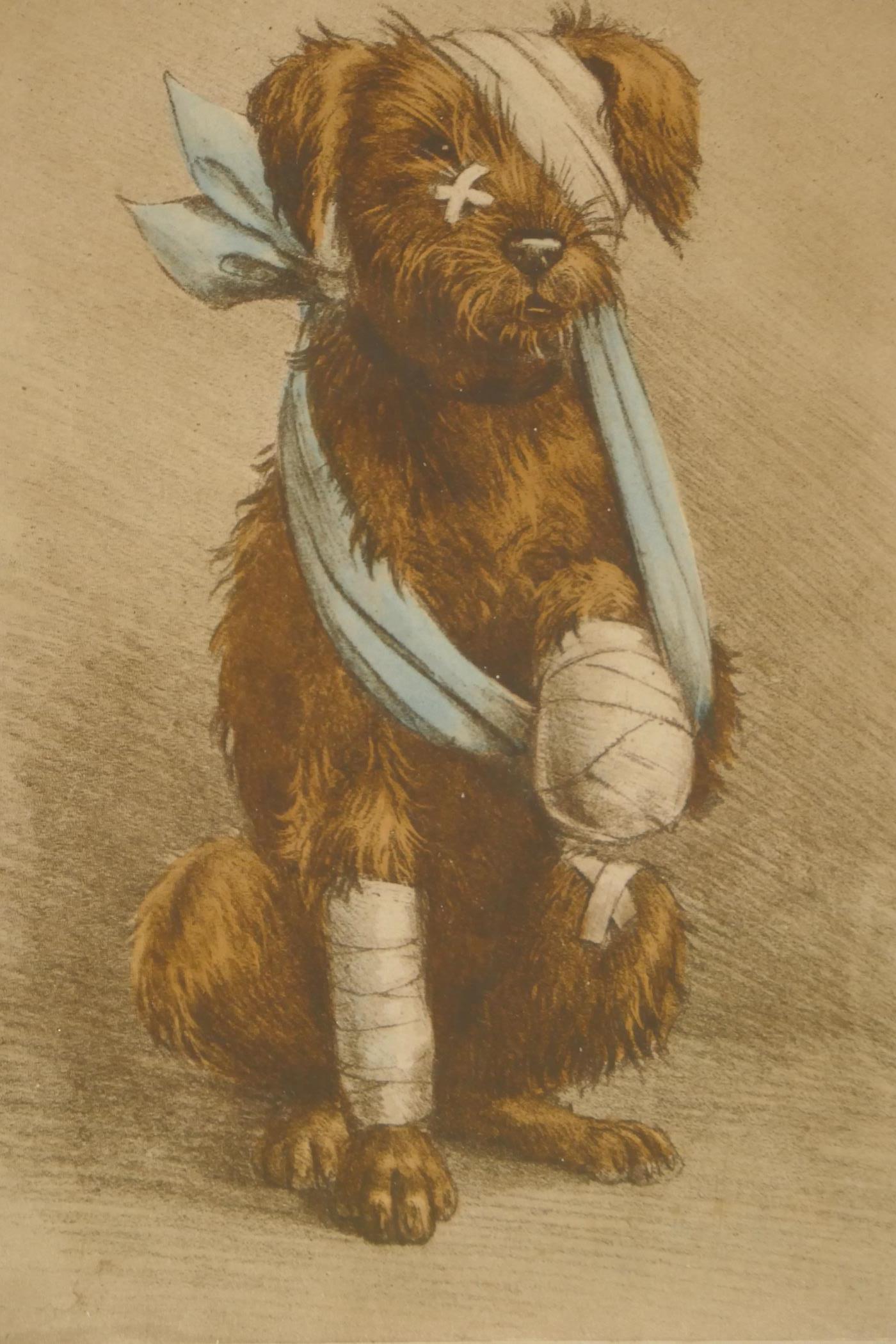 George E. Studdy, three humorous prints of dogs from the Sketch Magazine, and another print of dogs, - Image 5 of 5