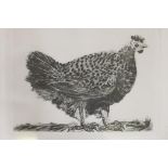 After Pablo Picasso, The Hen, vintage photolitho print from the engraving, 19" x 14"