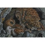 John Tennent, 1973, owls feeding their young, gouache and watercolour, 18" x 14½"