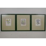 Brian Higbee, three limited edition coloured etchings, Prelude, 6/100, Dandelion and Bug loss, 4/