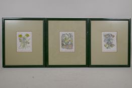 Brian Higbee, three limited edition coloured etchings, Prelude, 6/100, Dandelion and Bug loss, 4/