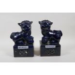 A pair of Chinese power blue glazed porcelain temple lions, Xuande 6 character mark to side, 8½"