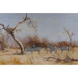 Flanagan, five zebra in an arid African landscape, oil on board, 29½" x 19½"