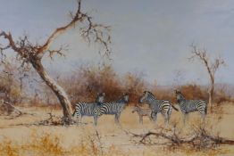 Flanagan, five zebra in an arid African landscape, oil on board, 29½" x 19½"
