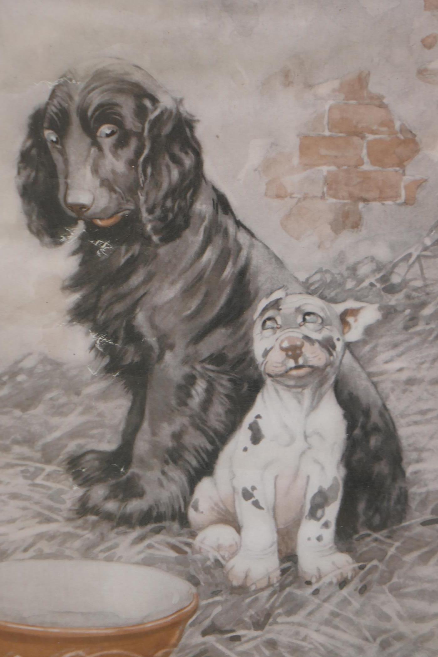 George E. Studdy, three humorous prints of dogs from the Sketch Magazine, and another print of dogs, - Image 3 of 5