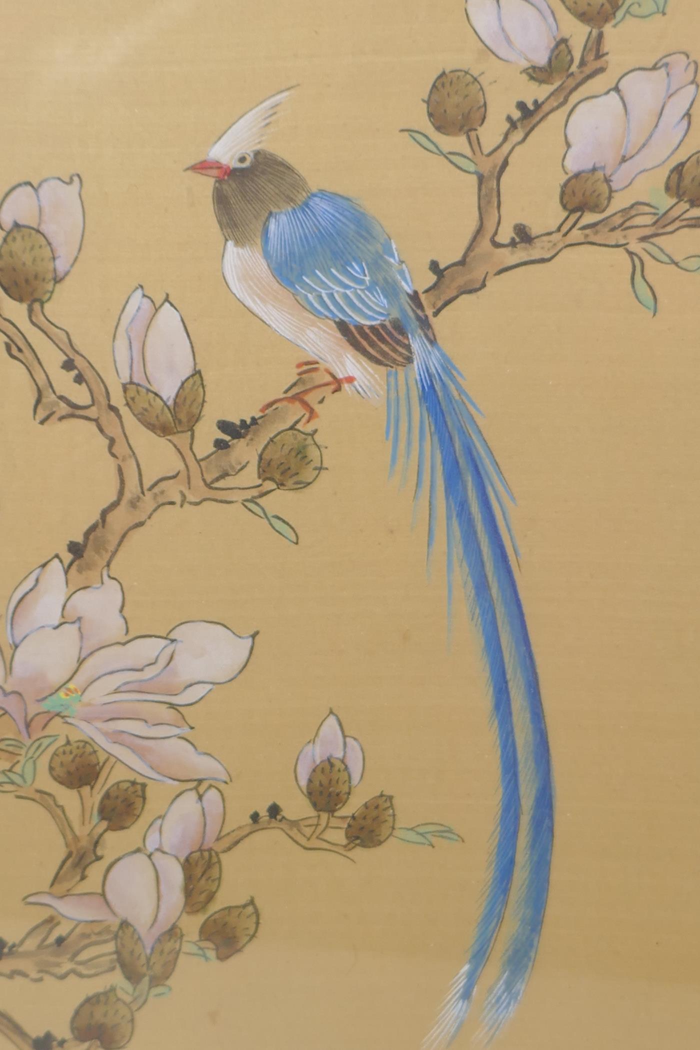 A Chinese watercolour of an exotic bird on a flowering branch, signed 10" x 12" - Image 3 of 5