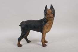 An antique cold painted cast iron doorstop in the form of a French pug dog, 8½" high