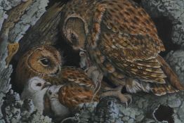 John Tennent, 1973, owls feeding their young, gouache and watercolour, 18" x 14½"