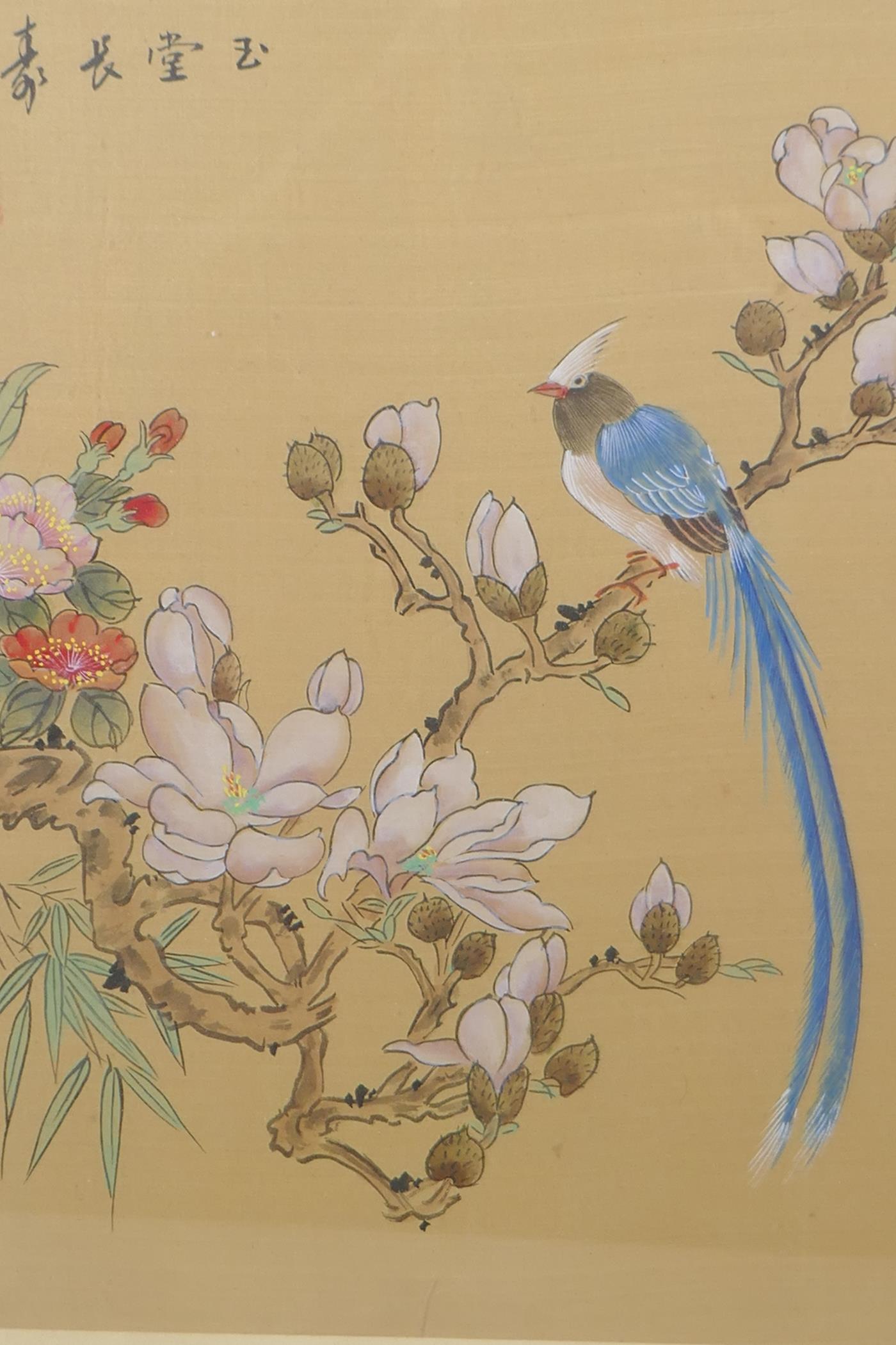 A Chinese watercolour of an exotic bird on a flowering branch, signed 10" x 12"