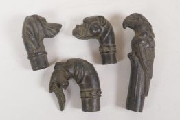 Four bronze walking stick handles in the form of dogs and a parrot, 5"