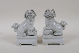 A pair of Chinese blanc de chine porcelain male and female temple lions, 5" high