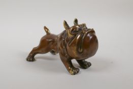 A filled bronze caricature figure of a bulldog, 5" long
