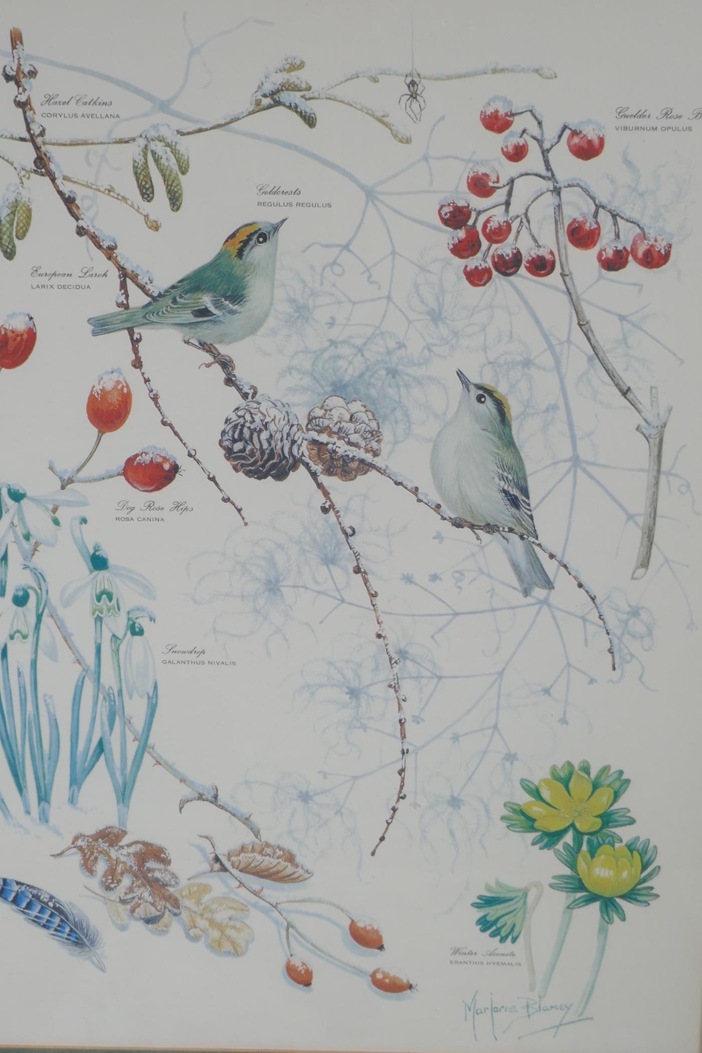 Marjorie Blamey, a set of four botanical prints, wild birds in their habitats, produced in memory of - Image 3 of 6