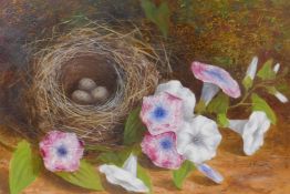 Mary Ensor, still life with flowers and birds nest on a mossy bank, signed, oil on millboard, 31cm x