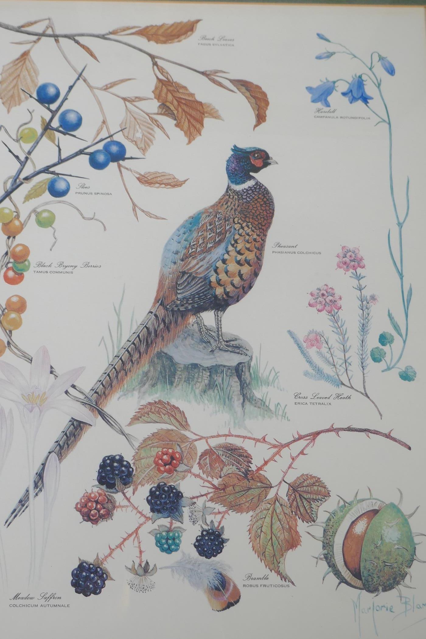 Marjorie Blamey, a set of four botanical prints, wild birds in their habitats, produced in memory of - Image 4 of 6