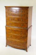 A yew wood eight drawer tall boy with box wood banding, brushing slide and splayed feet, 83 x