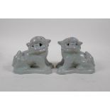 A pair of Chinese porcelain temple lions with ru-ware style glazes, 10cm high, 11cm long
