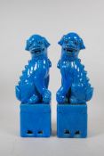 A pair of Chinese turquoise glazed porcelain temple lions, 32cm high